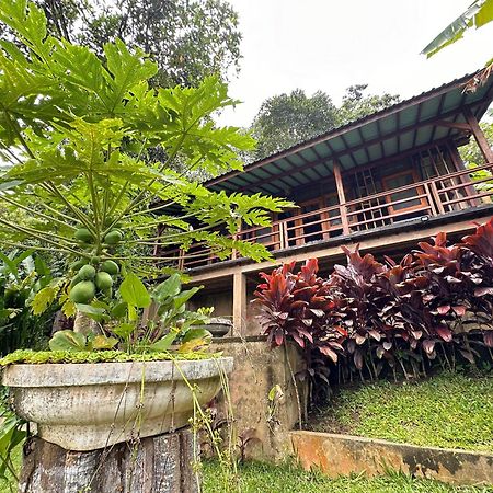 Sang Tirta Resort Penebel Bagian luar foto