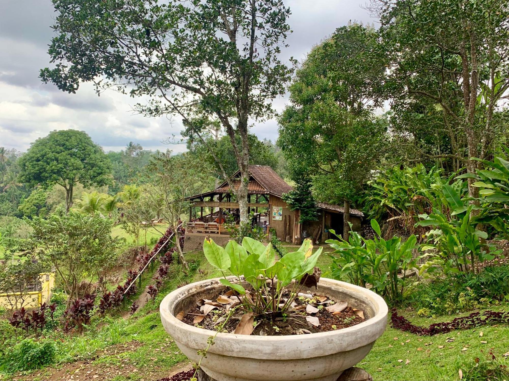 Sang Tirta Resort Penebel Bagian luar foto