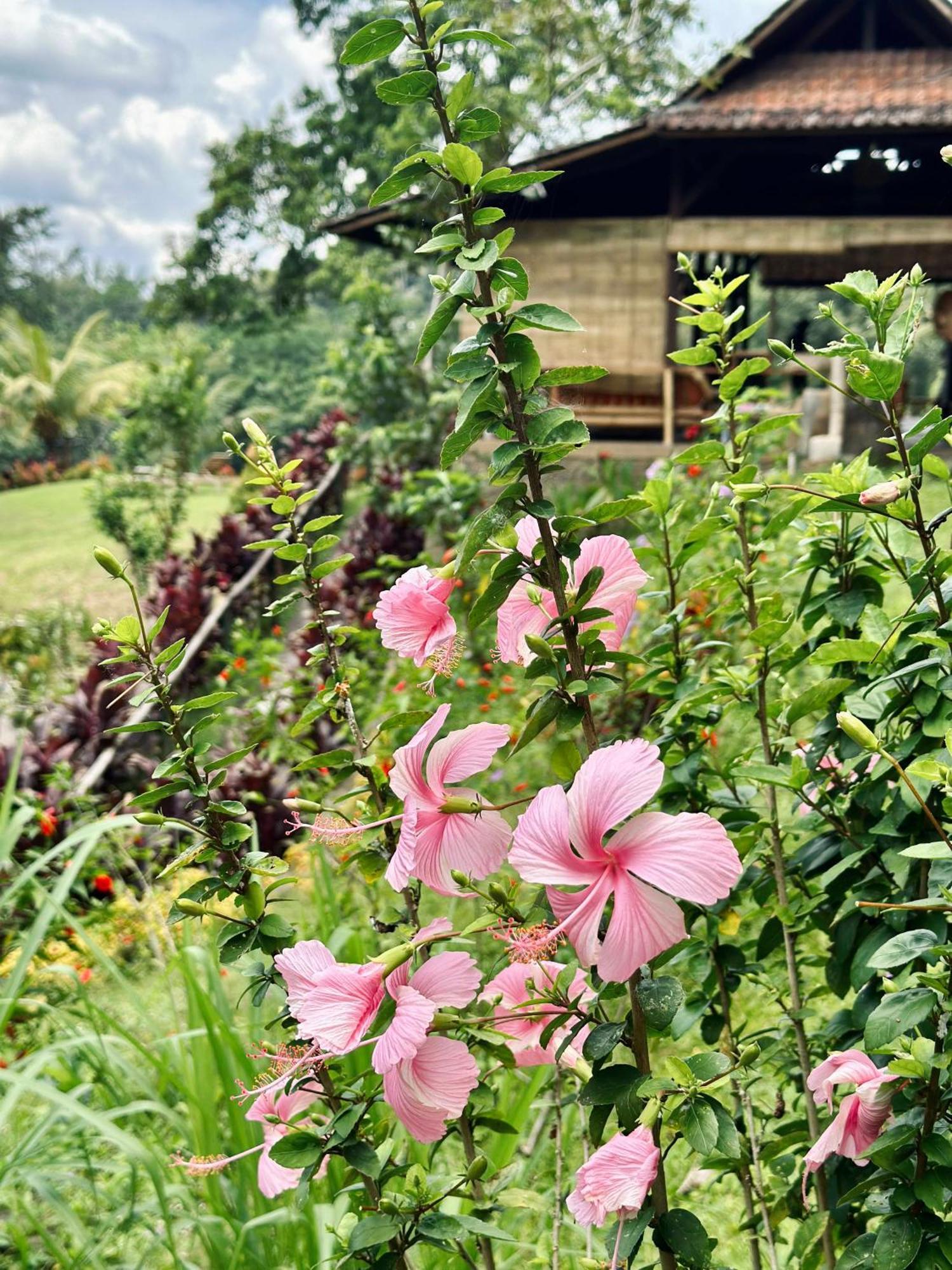 Sang Tirta Resort Penebel Bagian luar foto